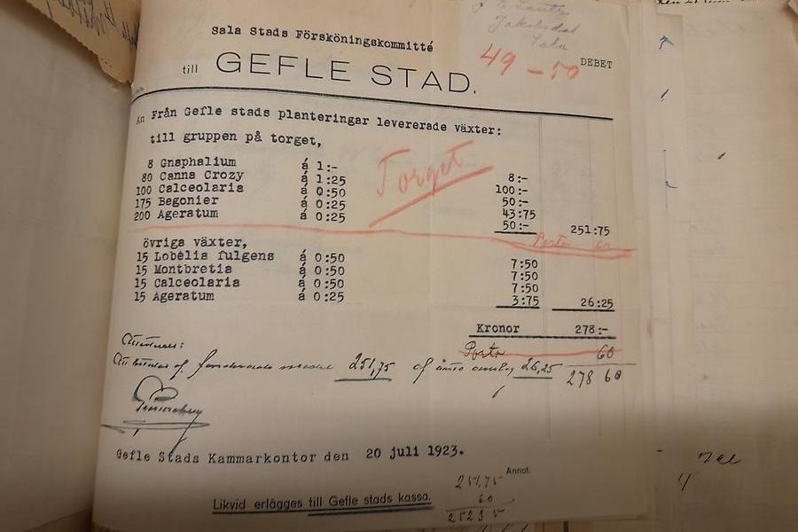 Förteckning över inköpta växter til torget 1923.